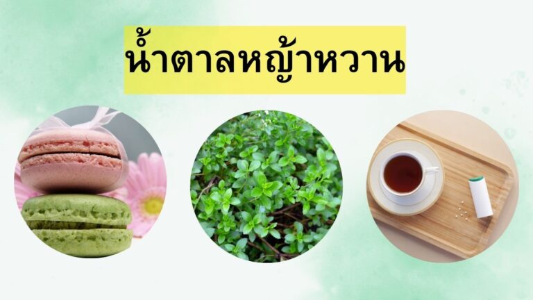 น้ำตาลหญ้าหวาน