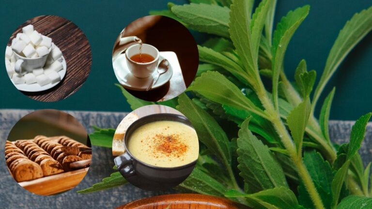 stevia-product