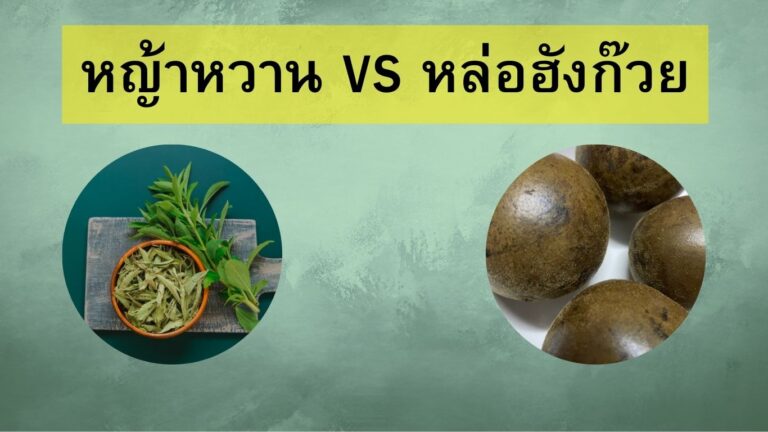 หญ้าหวานvsหล่อฮังก๊วย