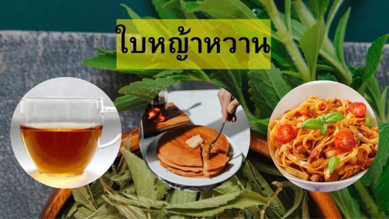 ใบหญ้าหวาน