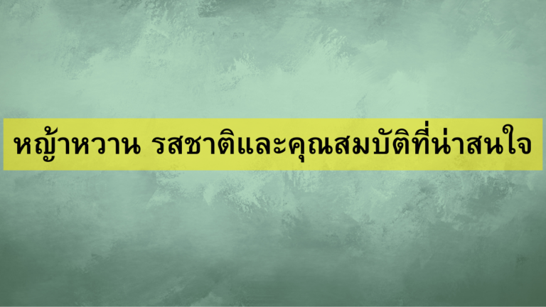 หญ้าหวาน รสชาติและคุณสมบัติที่น่าสนใจ