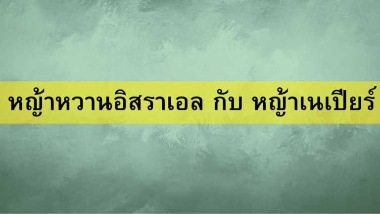 หญ้าหวานอิสราเอล กับ หญ้าเนเปียร์