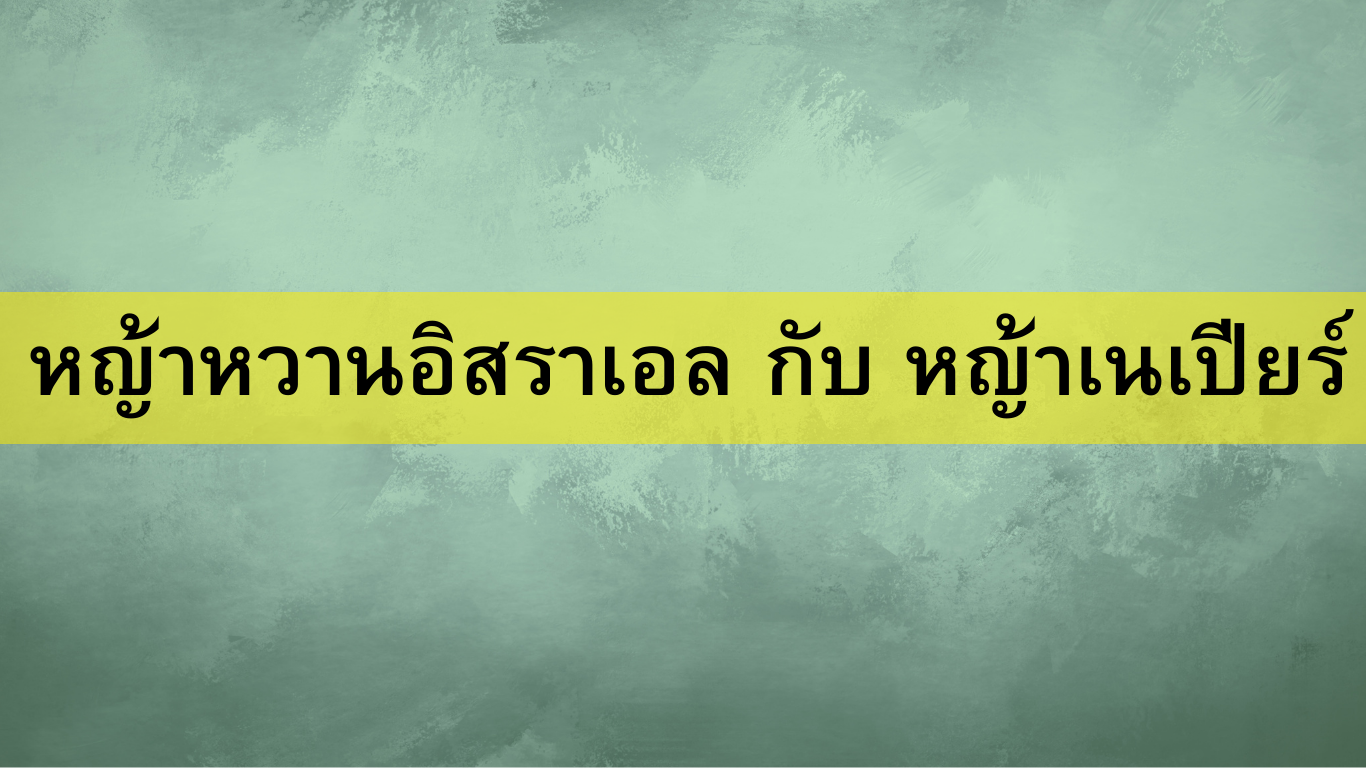 หญ้าหวานอิสราเอล กับ หญ้าเนเปียร์